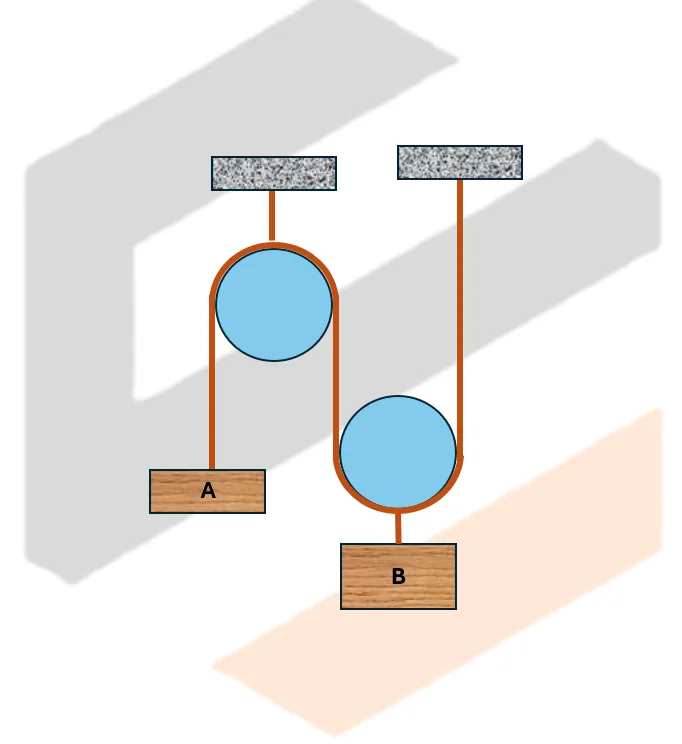 Classical Physics – Problem: Two Bodies Supported by a Pulley System – Diagram